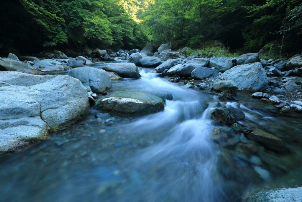 木津川で水晶を採集する——フィールドガイドの写真