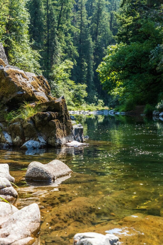 山宮河川公園で水晶を採集する——フィールドガイドの写真
