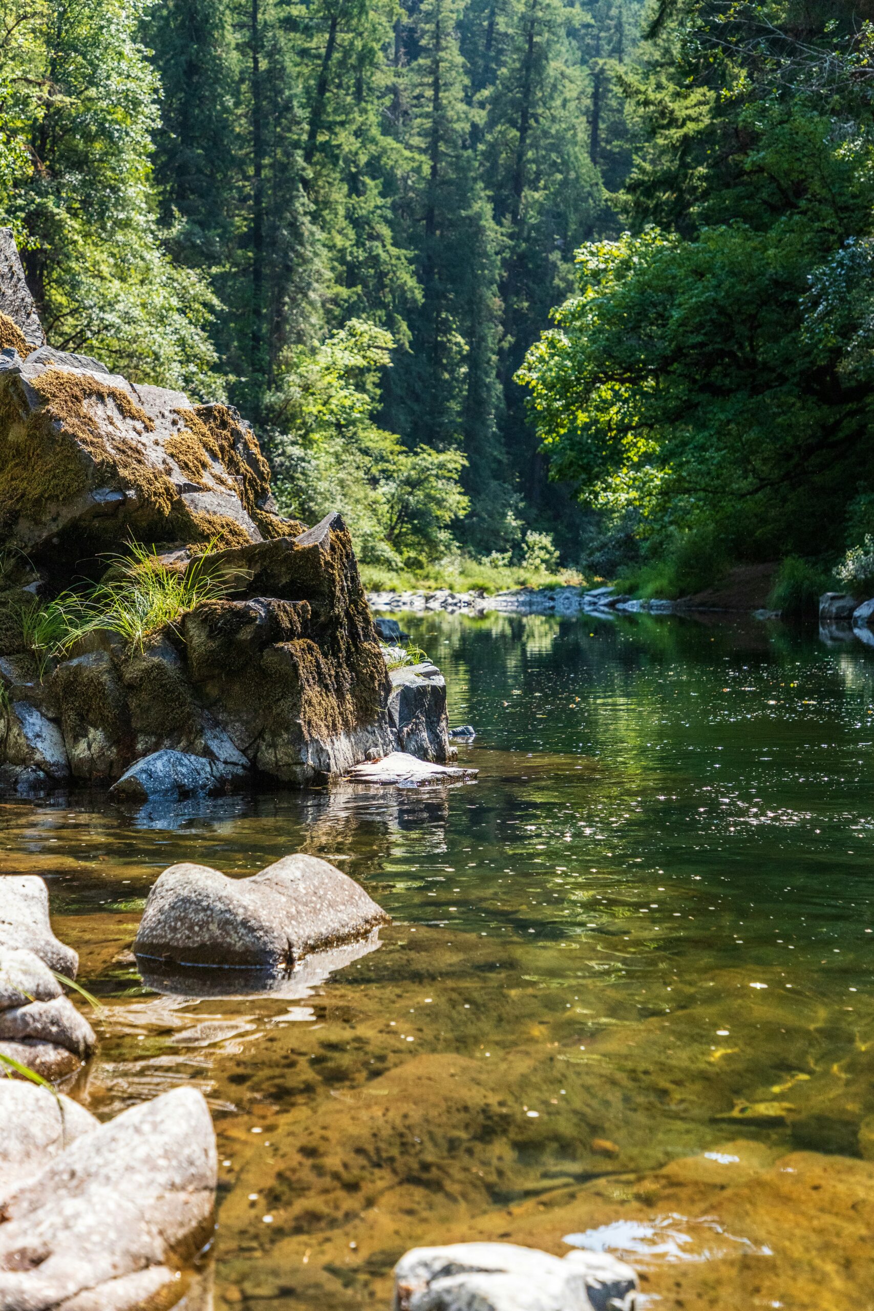 山宮河川公園で水晶を採集する——フィールドガイドの写真