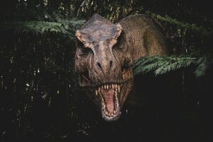 琥珀の科学と謎——鉱物写真