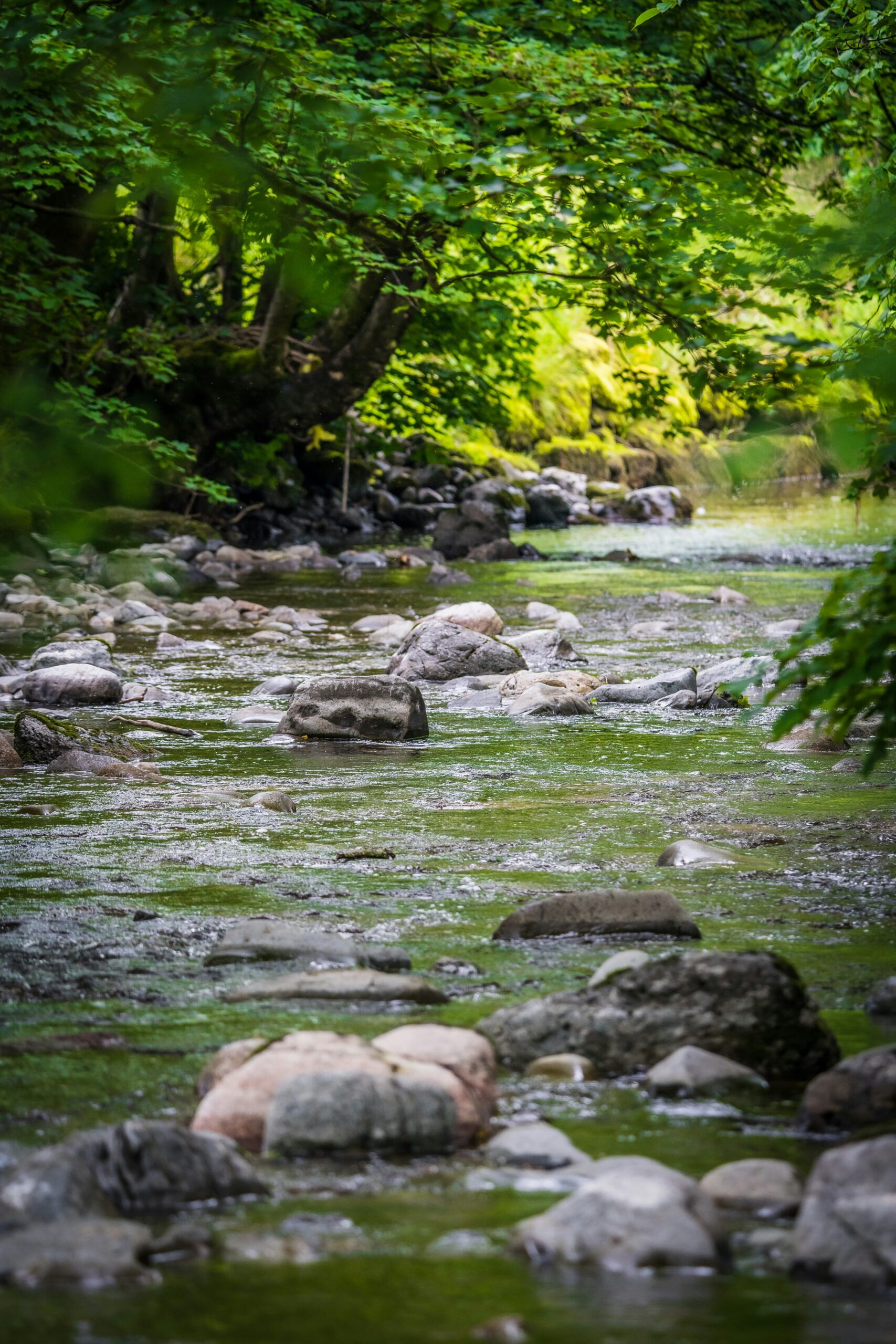 音更川・居辺川の黒曜石採集地の風景