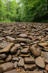 愛媛・関川の河原と変成岩のイメージ