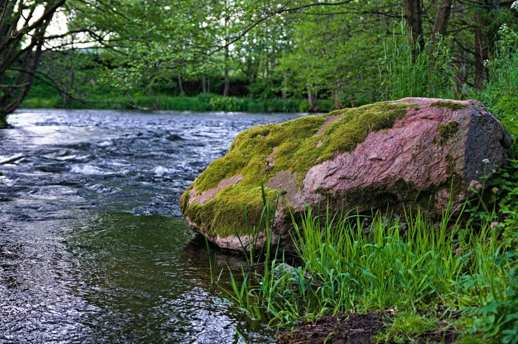 北海道・歴舟川の砂金採集風景