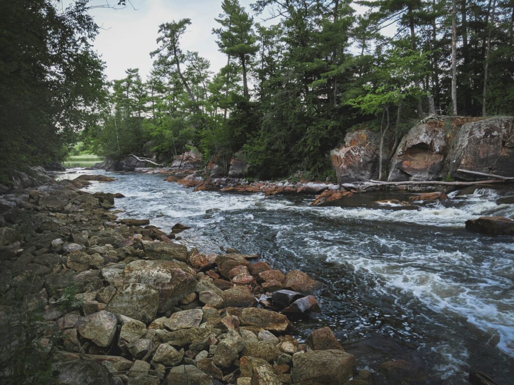 富士川の河原（イメージ）